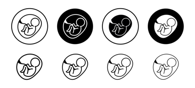 Baby In Stomach Icon vector