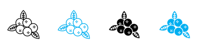 Blueberry Icon vector