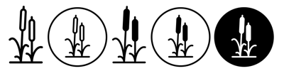 Cattail Icon vector
