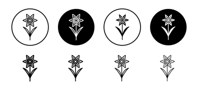 Daffodil Icon vector