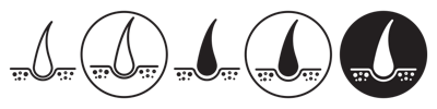 Hair Icon vector