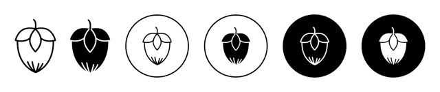 Hazelnut Icon vector