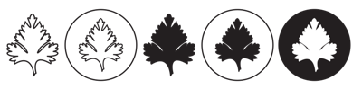 Parsley Leaf Icon vector