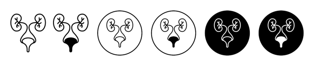 Urology Icon vector