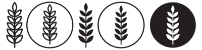 Wheat Icon vector