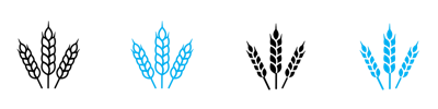 Wheat Icon vector